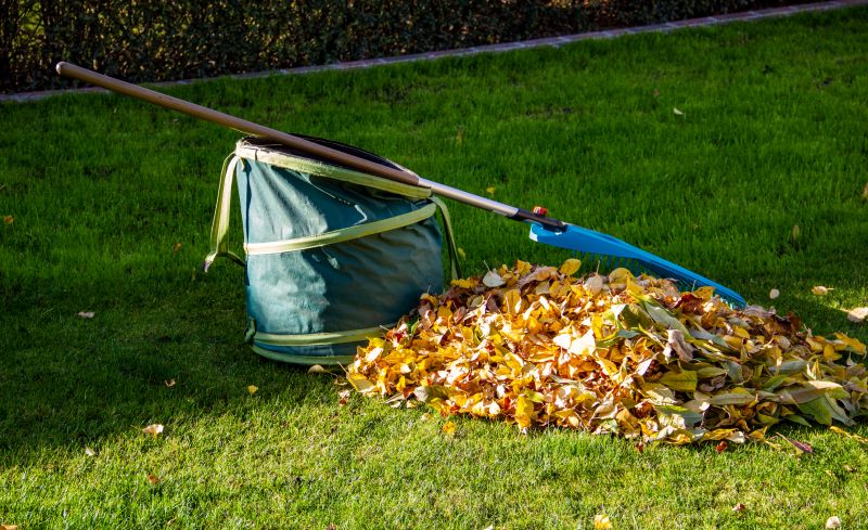 Lawn Debris Collection