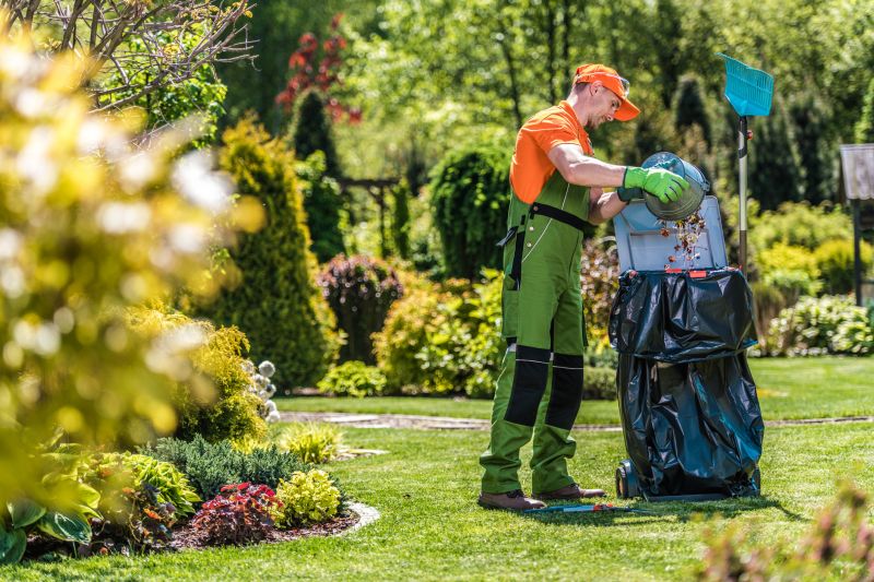 Professional Lawn Cleanup